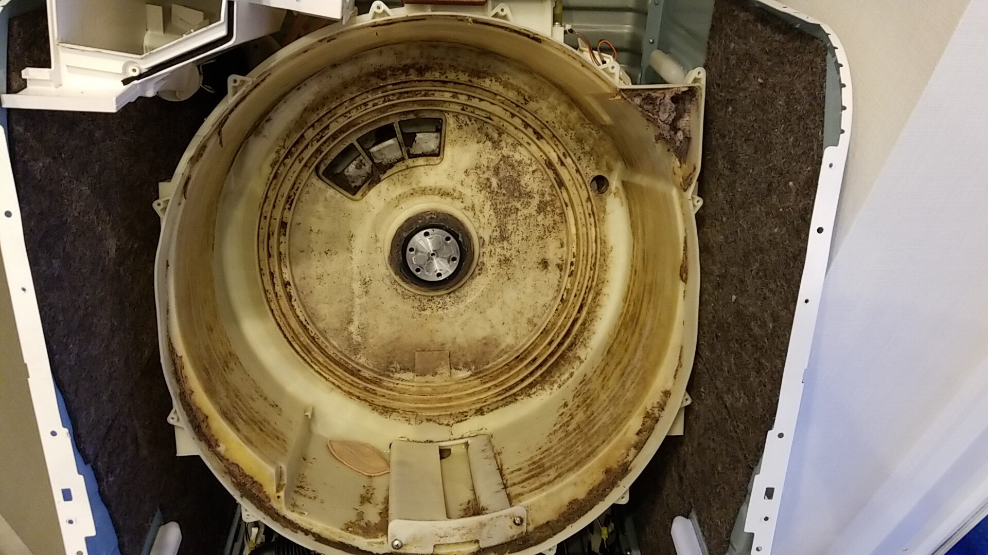 名古屋市熱田区金山 東芝製ドラム式洗濯機分解クリーニング作業